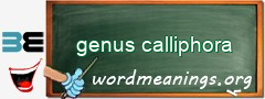 WordMeaning blackboard for genus calliphora